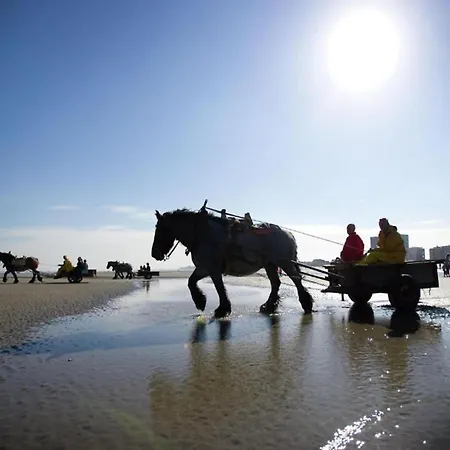 Dockside 0303 With Location Διαμέρισμα Nieuwpoort