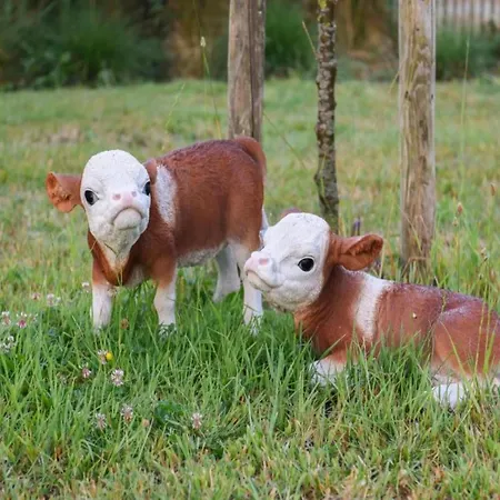 Appartamento Dockside 0303 With Location Nieuwpoort