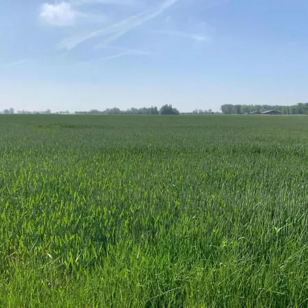 Dockside 0303 With Location Appartamento *