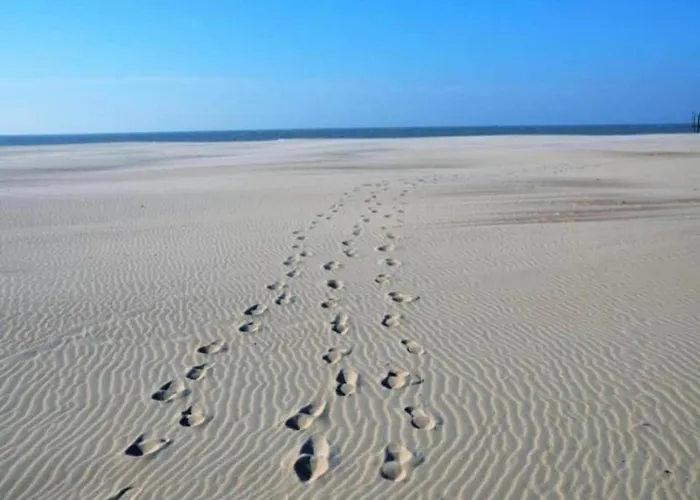 Dockside 0303 With Location Nieuwpoort